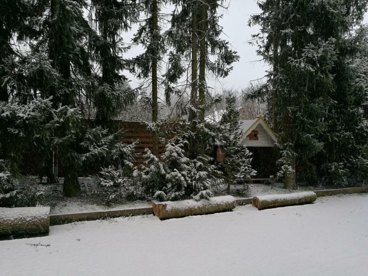 Taras Ferienwohnung Langlingen Exterior photo